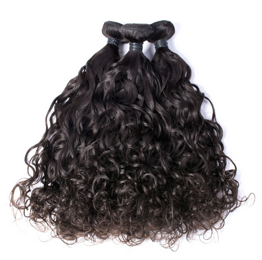 Classy Burmese Curly